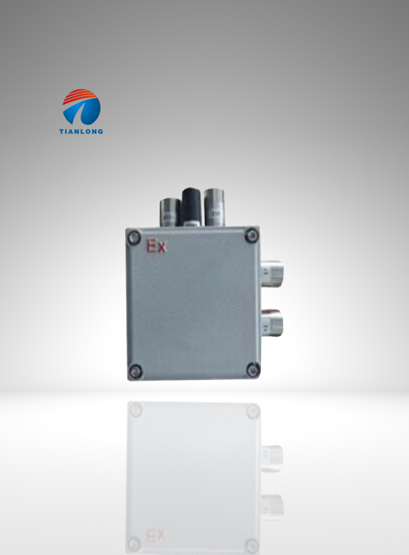 Multi-in-One Gas Detector